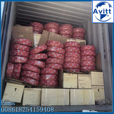 ZLP500 Enerji Binası Beşiği Asılı Asansörler 5 metre Uzunluk LST30 Güvenlik Kilit